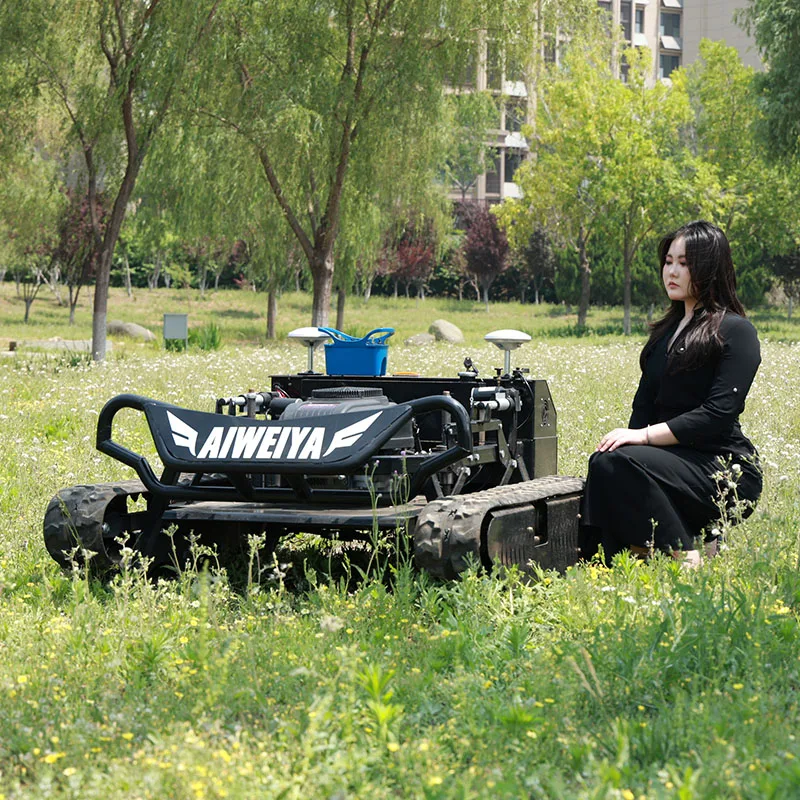 

Customized Outdoor Daily Maintenance Lawn Mower Regular Lawn Trimming Keep Garden Neat Grass Cutter