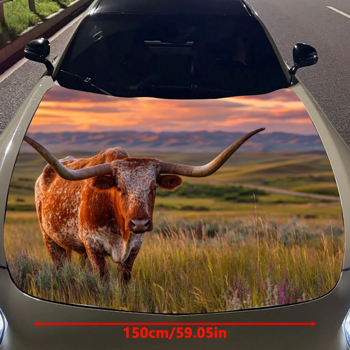 Car Decals Longhorn Cow in Prairie at Sunset Car Hood Sticker, Waterproof Self - Adhesive Vinyl Graphics Decals, Decorative Prot