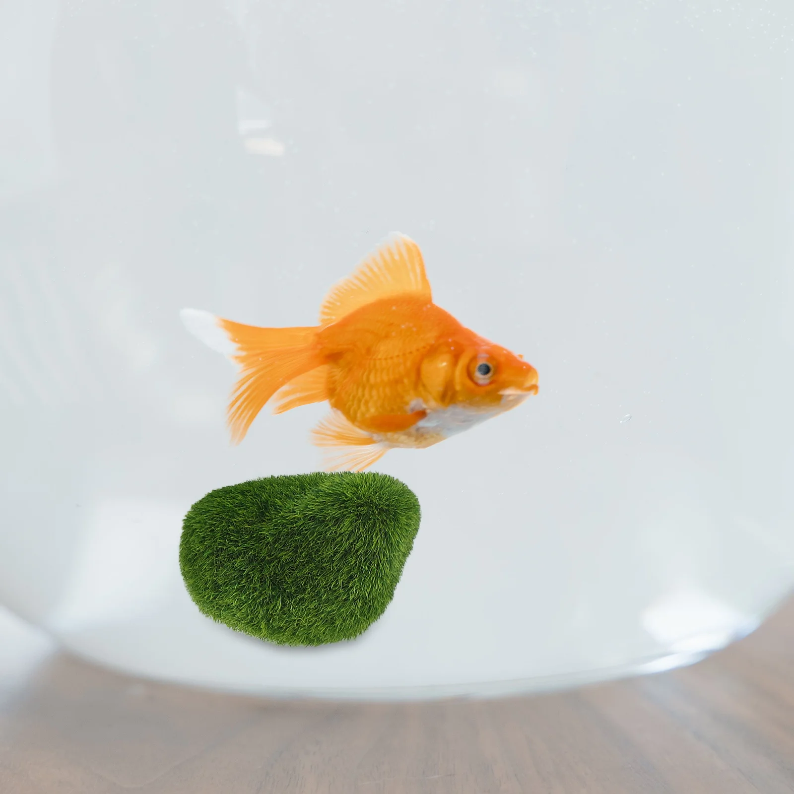 

5Pcs Simulated Moss Rocks Decorative Pieces Resin Fish Tank Accessories Natural Greenery Aesthetic Appeal Easy Installation