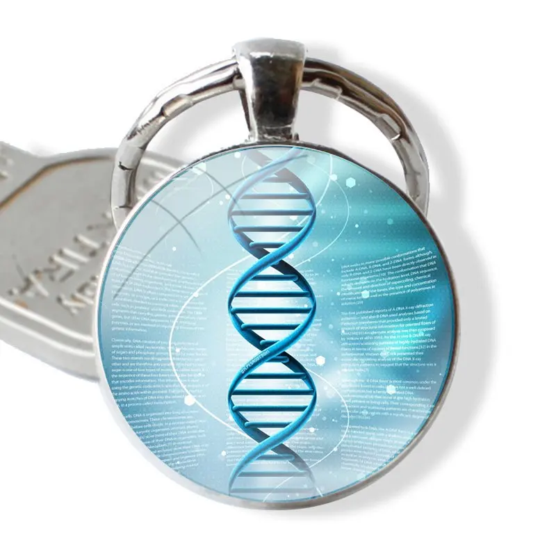 Keychain Handmade Glass Cabochon Key Ring Holder Pendant Key Chains Biology Chemistry DNA