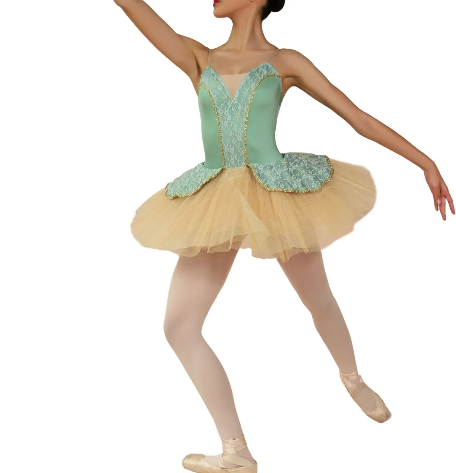 

New Ballet skirt Professional classical Pancake Tutu costumes