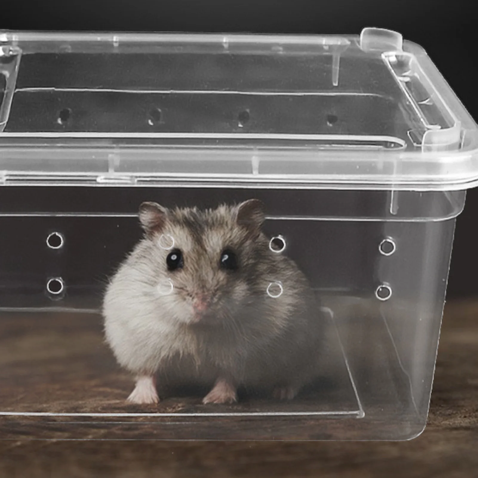 

Small Reptile Feeding Box Transparent Plastic Terrarium For Snakes Lizards Tarantulas Secure Lock Ventilated Mini Pet House