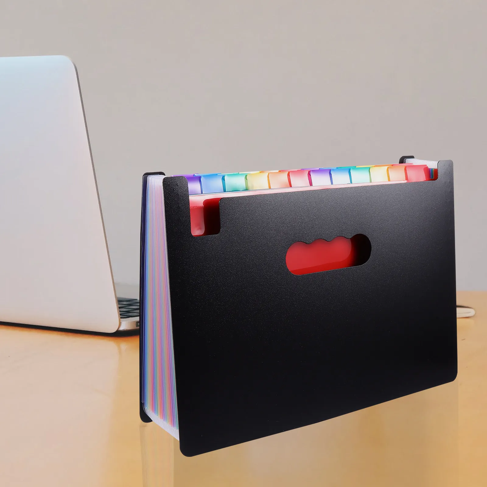 

1 шт. 24-слойная многофункциональная папка-органайзер из прочного пластика для документов, писем, фотографий, карточек. Эффективное решение для офиса и учебных заведений.