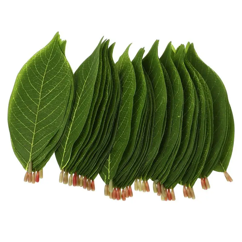 

50Pcs Bridal Fake Leaves Magnolia Leaves Flower Nature Simulated Leaves Arrangement Material Fake Leaf Adornment Green