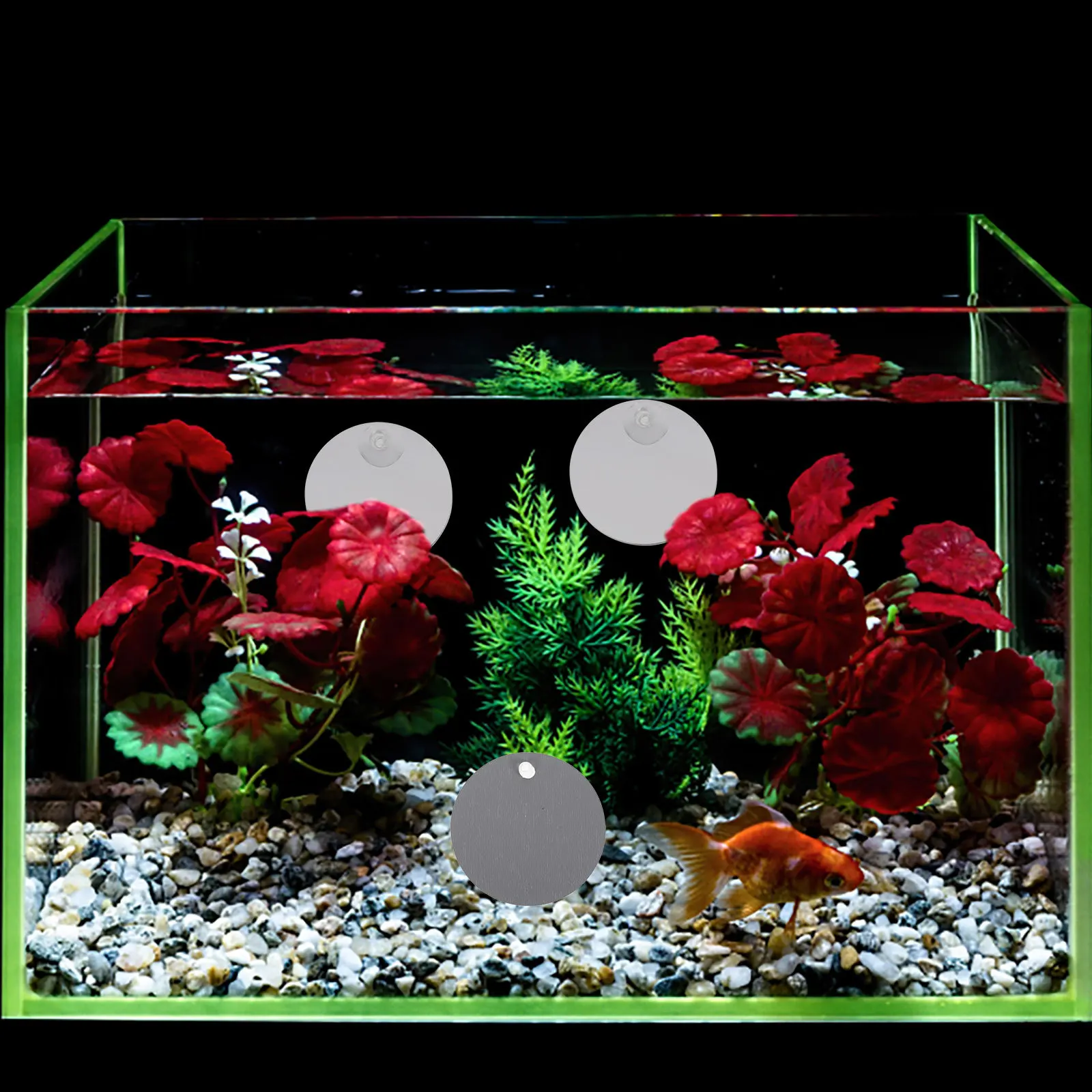 

10Pcs Fish Tank Mirror for Betta Training Suction Mounted Acrylic Mirror for Aquarium Decoration and Betta Activity Stimulation