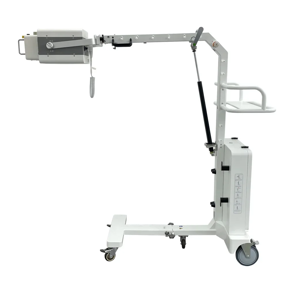 High Definition Veterinary Digital Radiography System Compact Mobility Panel Flexible Application Diagnostic Equipment Vetoo
