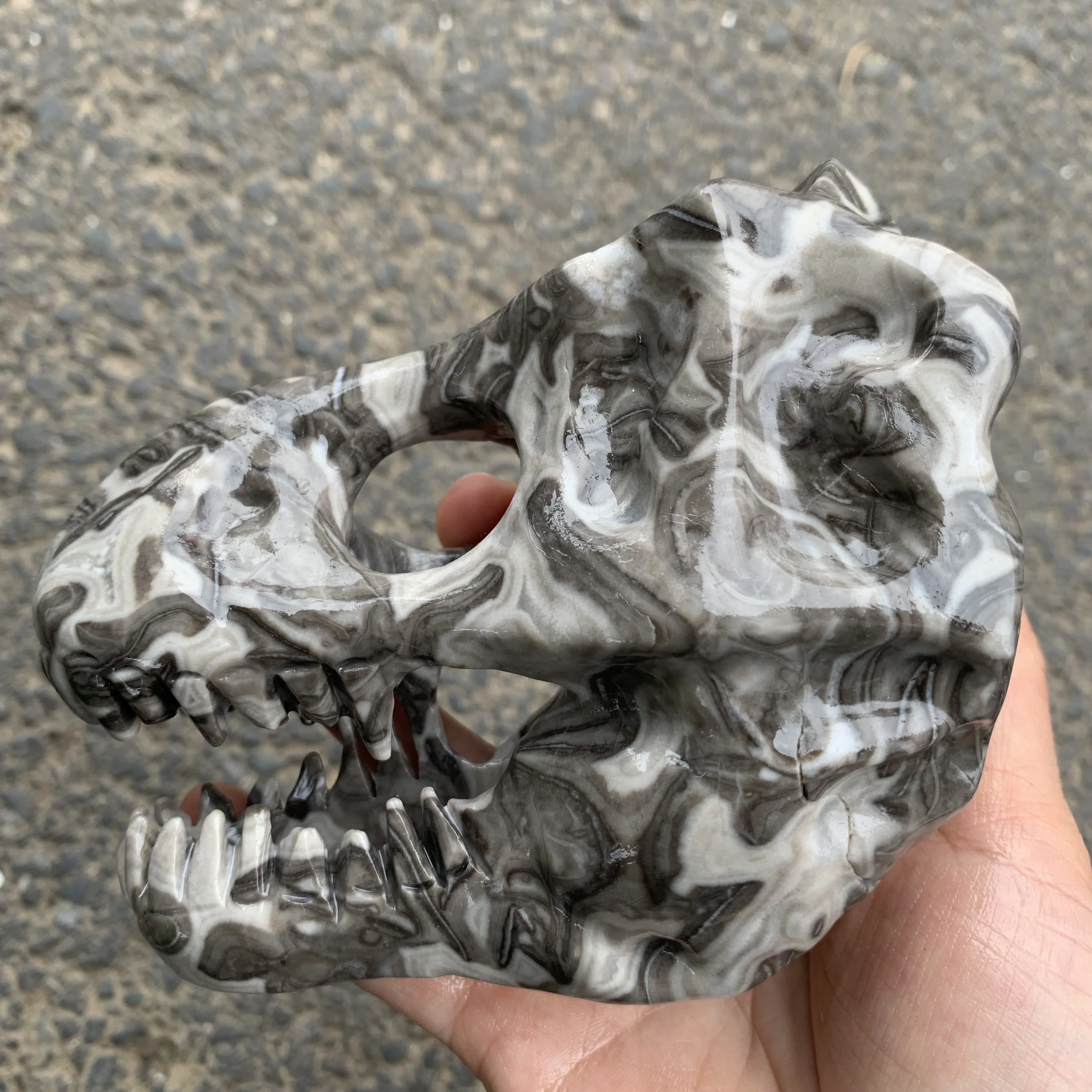 Natural Picasso Jasper Carved Dinosaur Head skull Shaped statue crystal sculpture