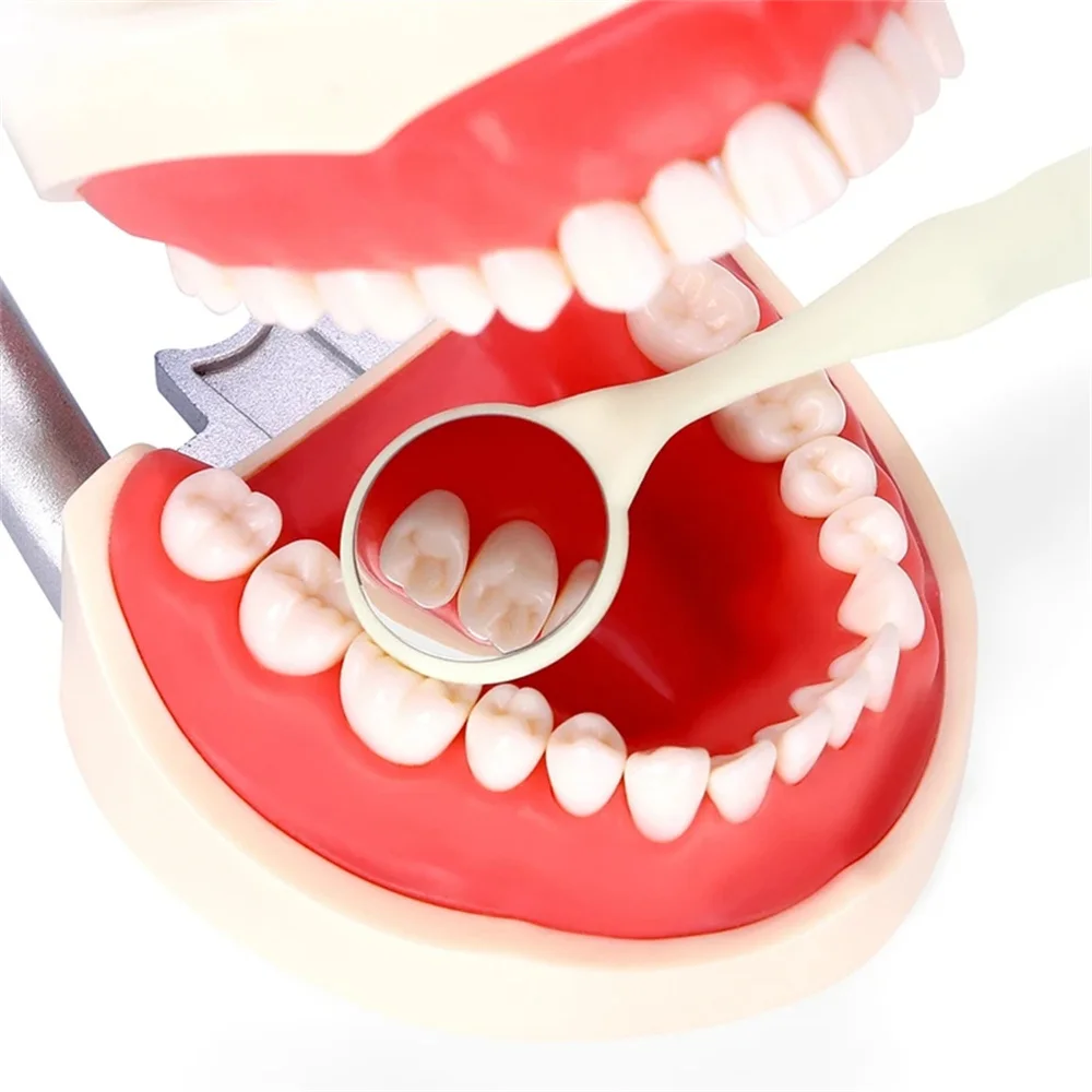 10 sztuk/pudło Dental dwustronne lusterka do ust z uchwytem losowe kolory autoklawowalne reflektory do badań powierzchniowych wybielanie zębów jamy