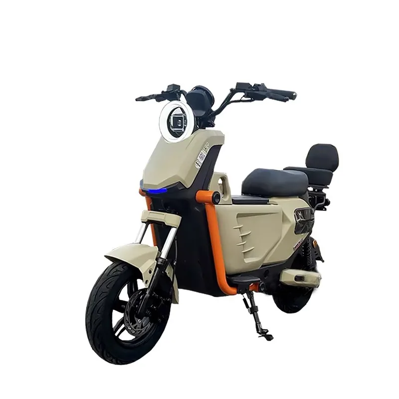 Motocicletta elettrica da 1000 W per adulti, bici elettrica 48 V/60 V con batteria rimovibile, freni a doppio disco, portata 60-80 km