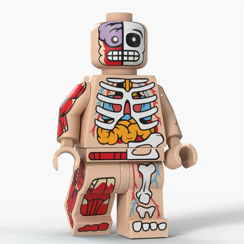 Cartoon Transparent Human Anime Muscle Anatomy Skeletal Bodys Action Figures Building Blocks Toys for Children Gifts - view 5