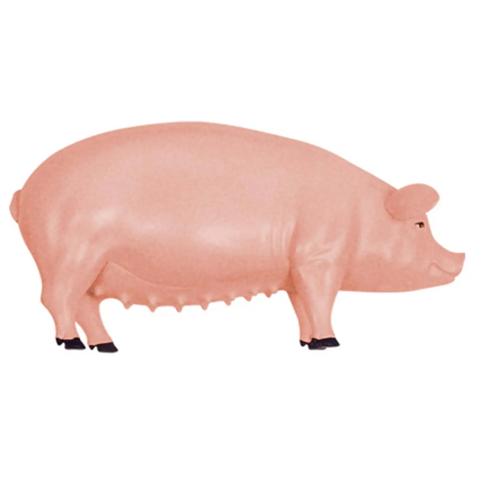 Pig Dissection Model 4D Educational Science Kit DIY Toy with Detachable Body Components for Teaching Demonstration Lessons