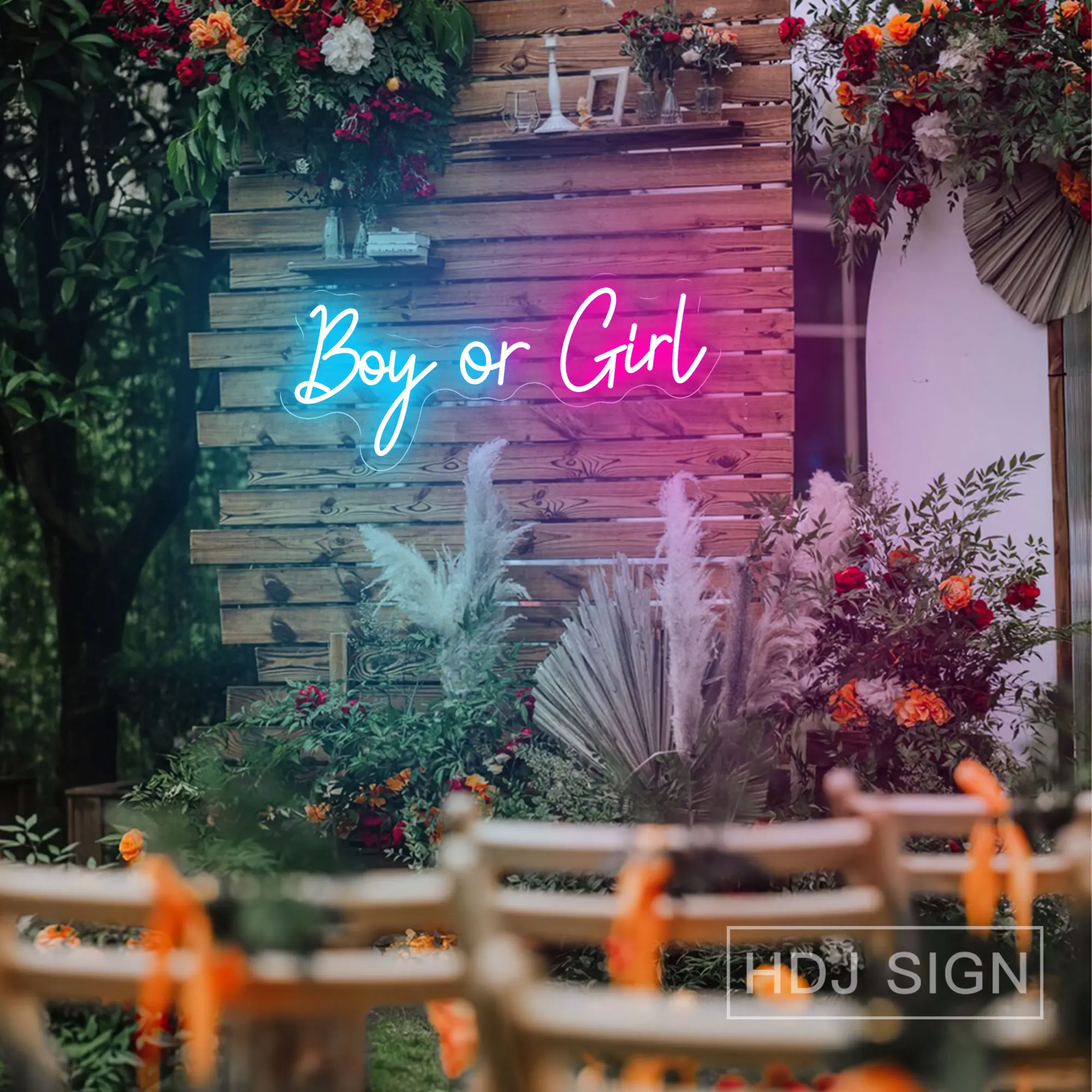 Boy Or Girl Neon Le…