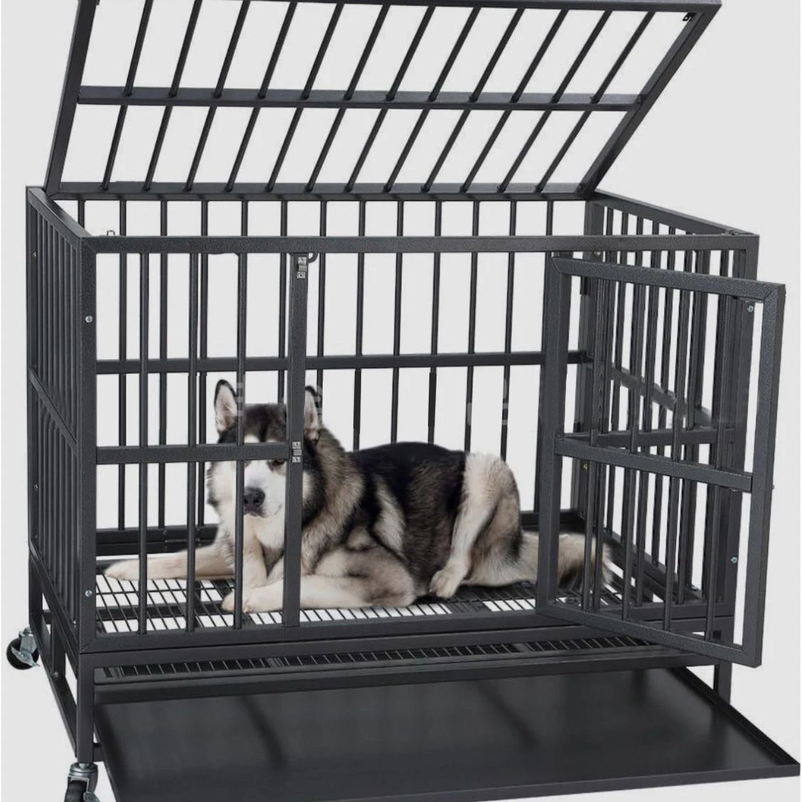 

Durable Heavy-duty Hot Sale High Quality Easy to Install Galvanized or PVC Outdoor Dog Kennel