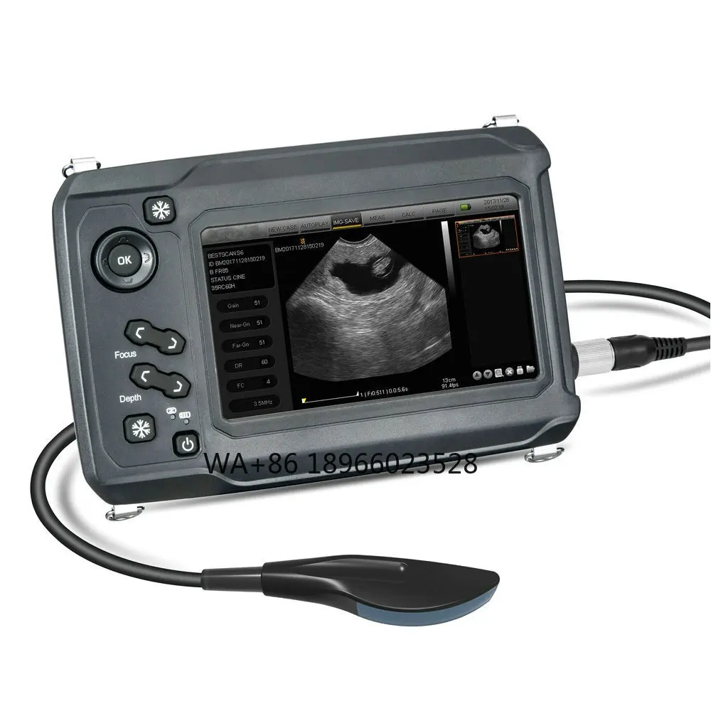 Digital Veterinary Ultrasound System Handheld BMV S6 digital equine bovine Ovine Portable