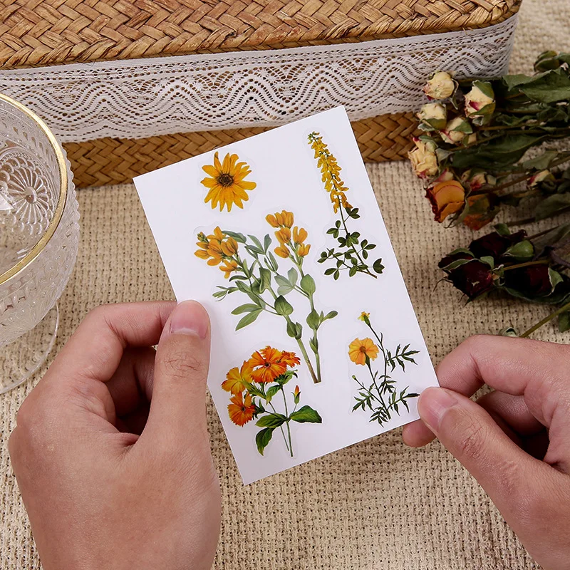 pegatinas-de-plantas-transparentes-de-pet-para-diario-decoden-scrapbooking-suministros-de-decoracion-para-ninas