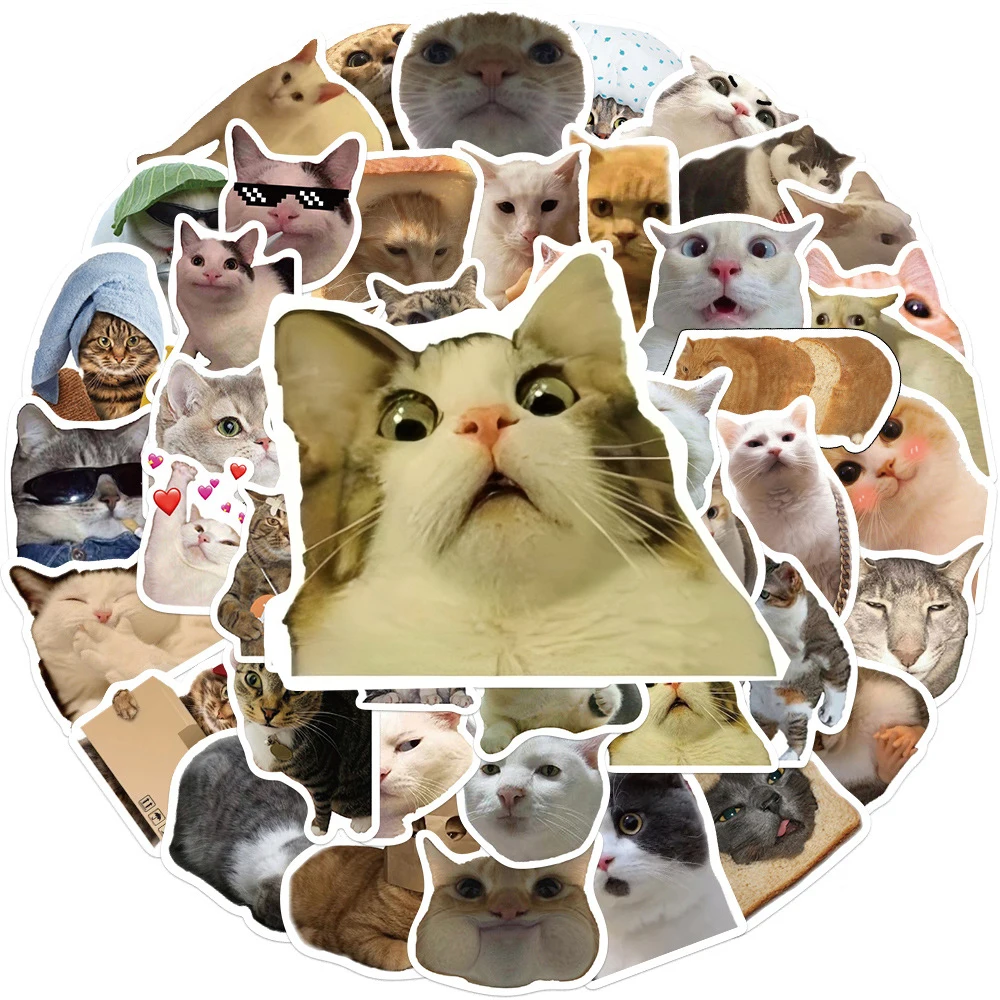 10/30/50 Stück Niedliche Katzen-Meme-Aufkleber Lustige Tier-Kätzchen-Sticker DIY Skateboard Handy Notizbuch PVC Graffiti-Aufkleber Dekoration Spielzeug