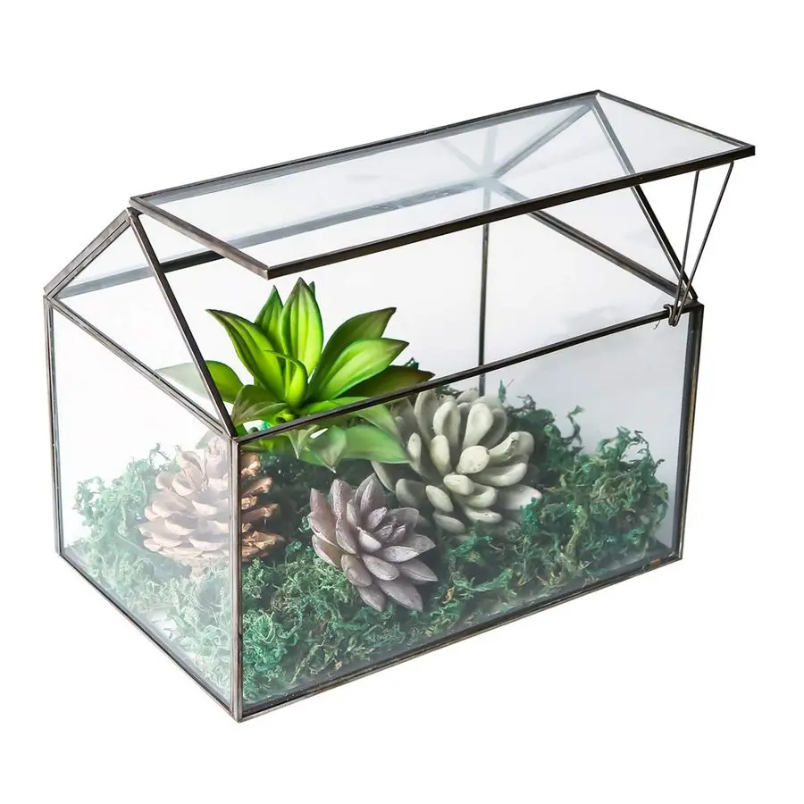 

Геометрический стеклянный террариум для суккулентов, настольный садовый кашпо с откидной крышкой, для мха и папоротника, цветочный горшок для растений S