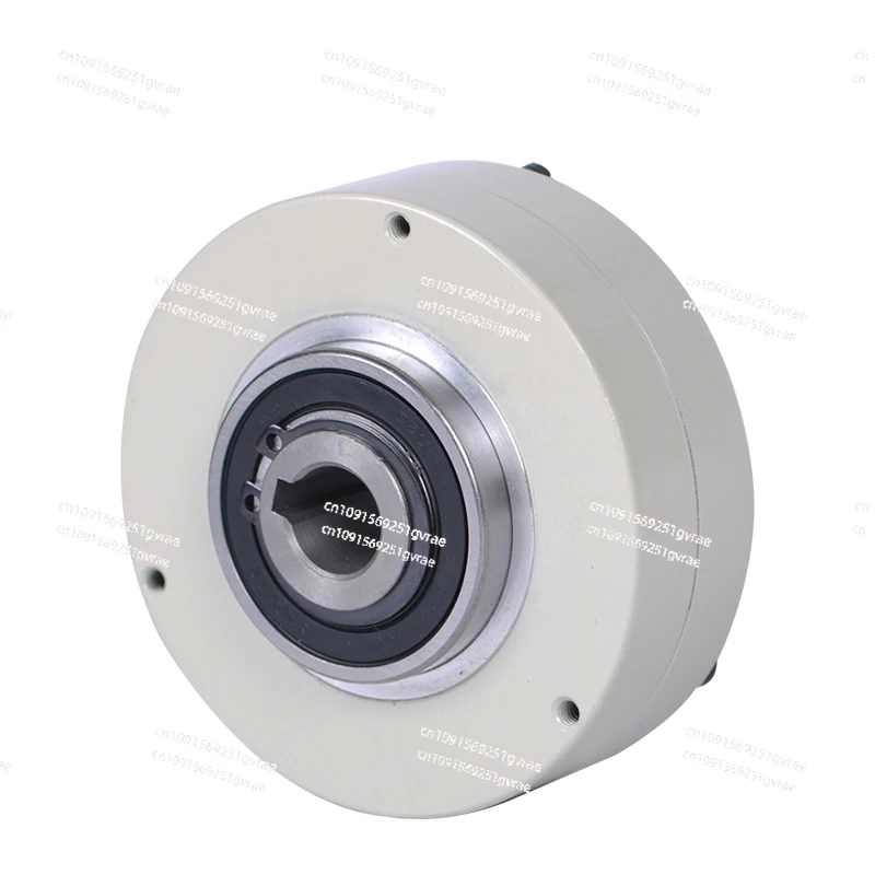 Small electromagnetic powder brake hollow shaft hole type