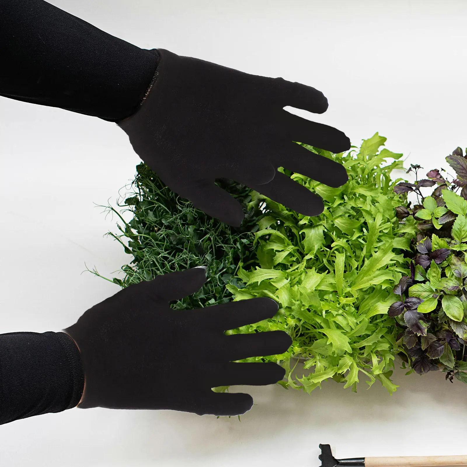 

12Pairs Heavy Duty Cotton Gloves Labour Protection Comfortable Work Gloves Hand Safety Anti-Skid Breathable Black Size M