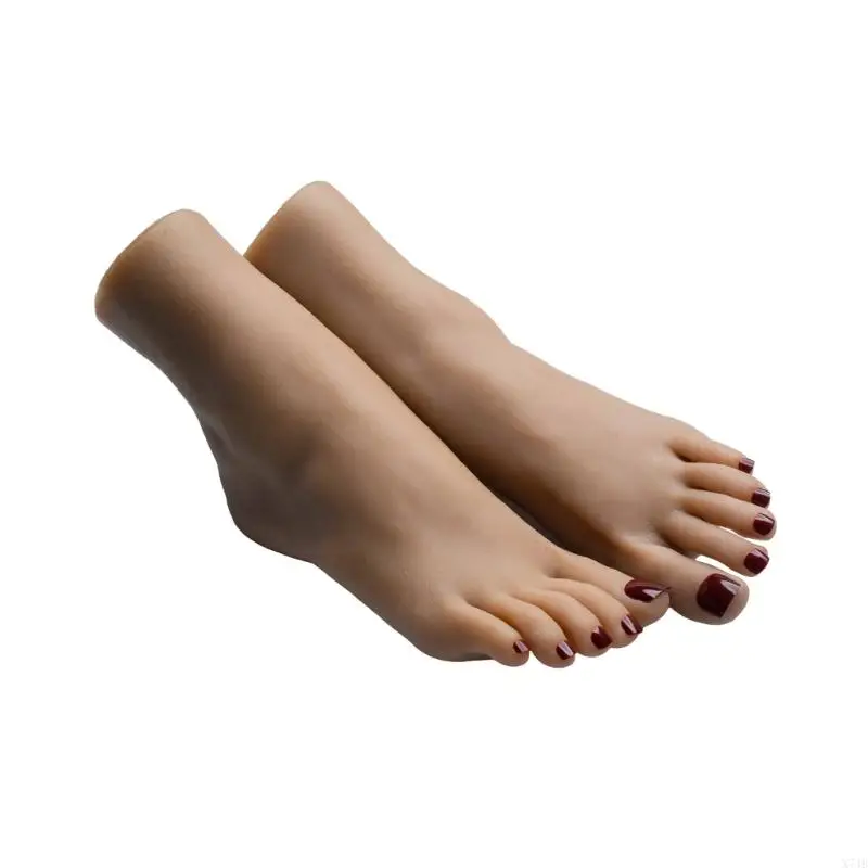 نموذج عرض قدم من درجة الاستوديو مع تفاصيل دقيقة للعظام، دعامة عرض محمولة لتعليم الفنون البصرية