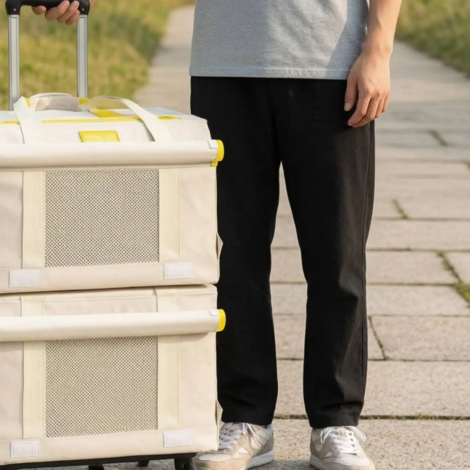 Travel Container Breathable Mesh Cat Bag Pet Carrier with Wheels Pet Moving Carrier for Transport of Cats