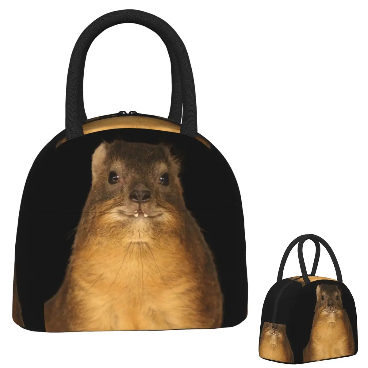 

Rock Hyrax Photo (50y Vampire Potato Lunch Bags Изолированные Bento Boxf Lunch Tote Сумки для пикника Сумка-холодильник для женщин Девушка Работа