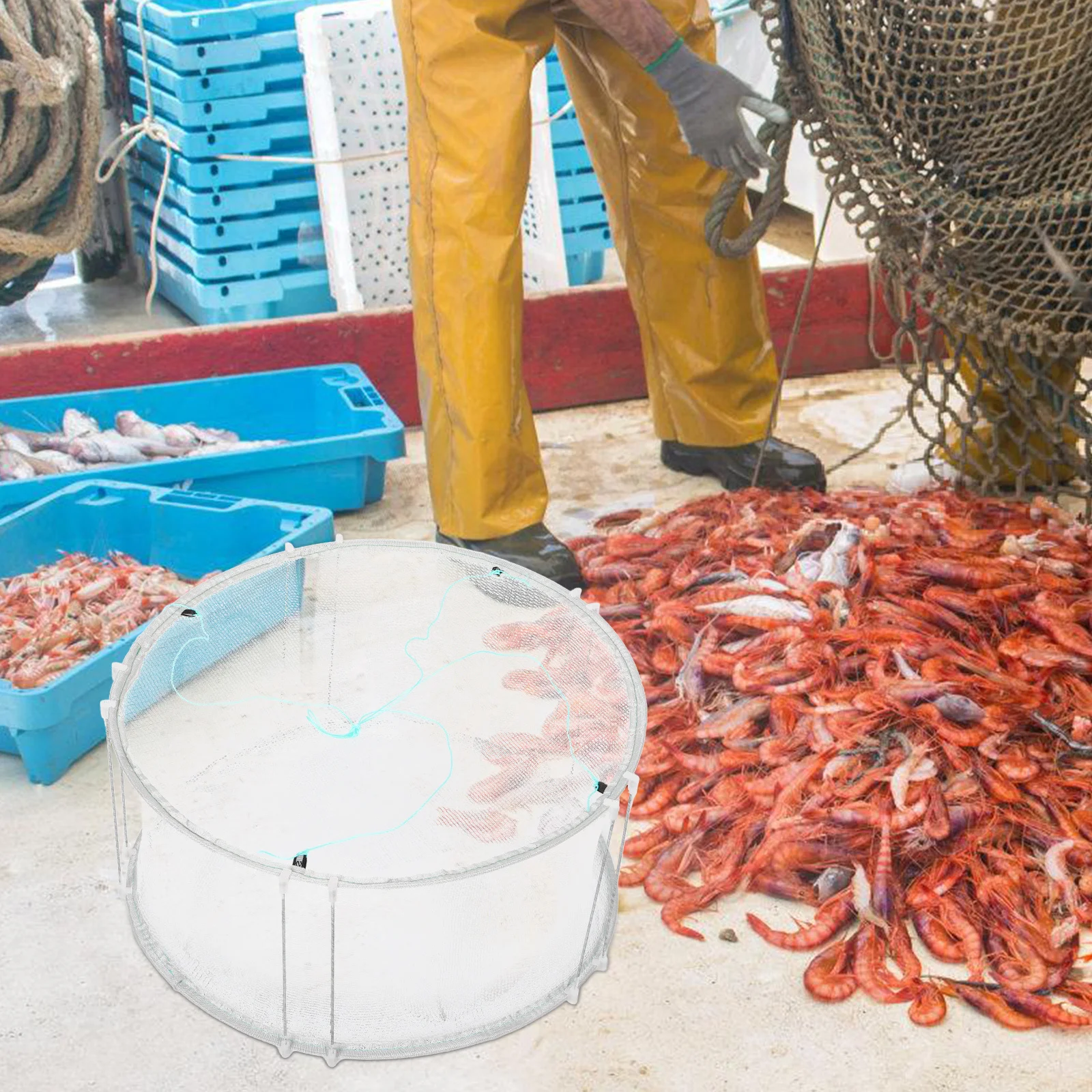 

Durable Foldable Fishing Net Trap 50x25cm for Minnows Crabs Shrimp Lobster Eels Crawfish Nylon Mesh Cage Bait Catcher