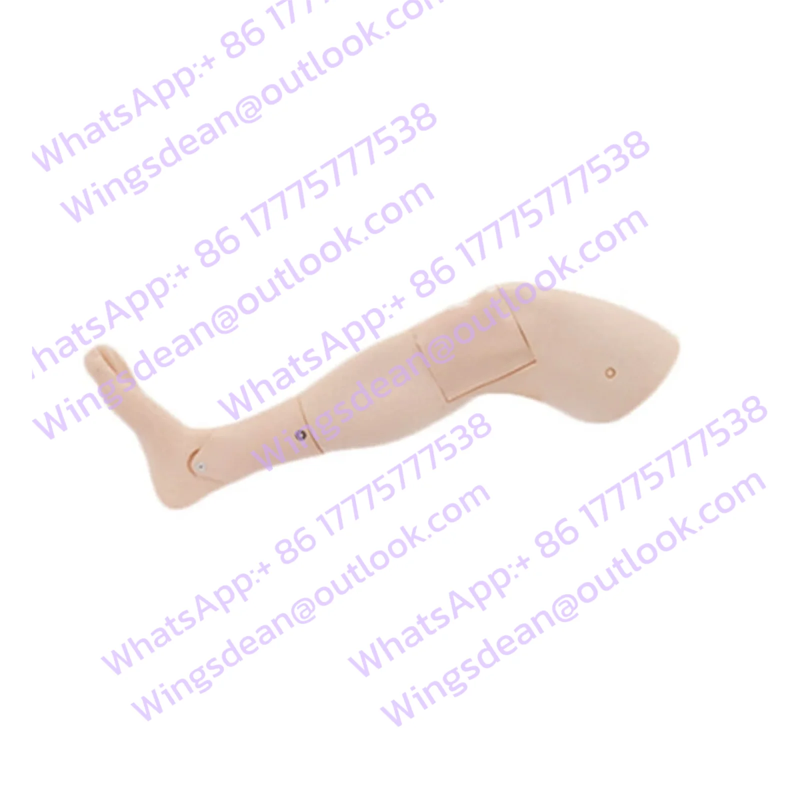 Tibial Intraosseous Infusion Training Model Lower Limb Bone Marrow Aspiration Training Module