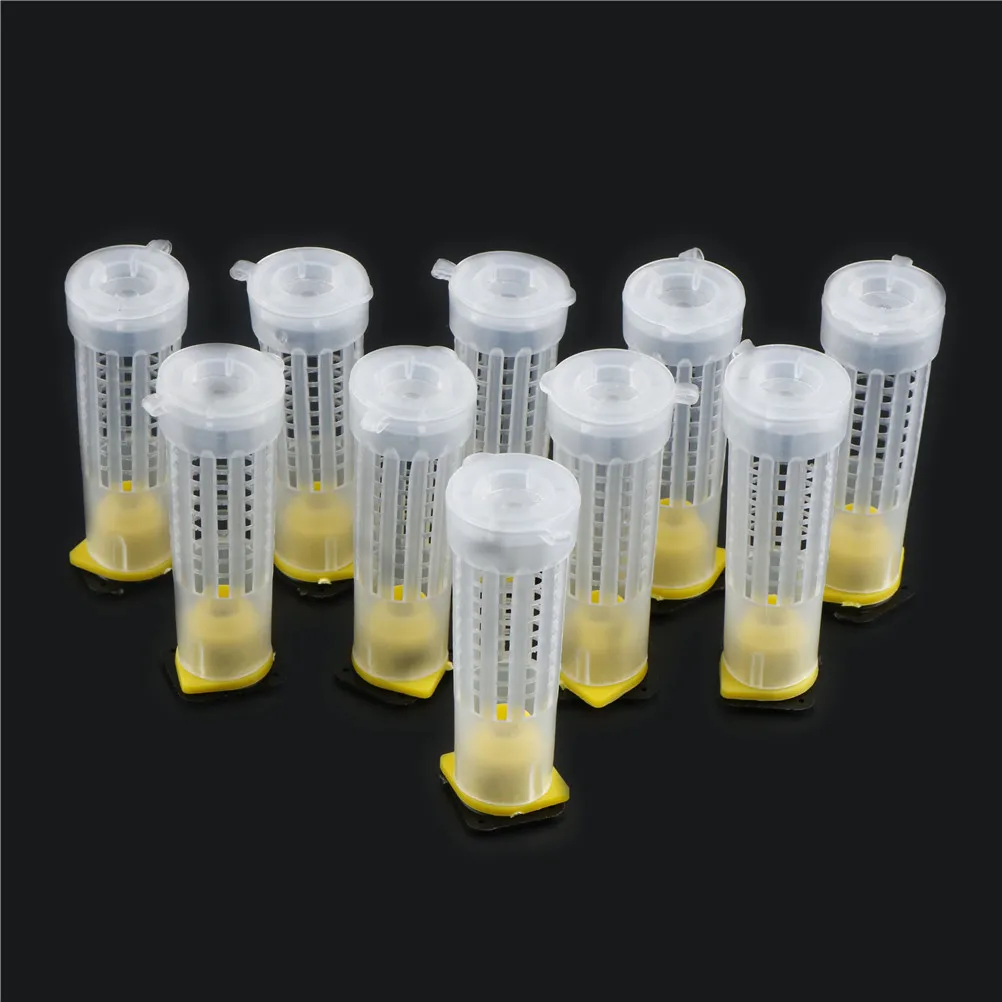 10pcs Bee Queen Cage Protection Rearing Breeding King Plastic Abutment Bees Cages Equipment Beekeeping Tools Insectary Box Tool