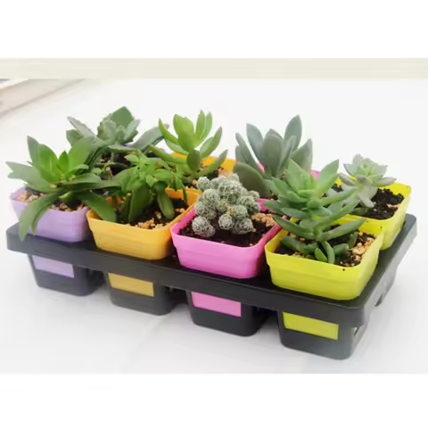 8 Cells Planter Tray for Succulents Cactus Herbs Small Flower Pot Grid Organizing Desktop Garden Container Plant Holder