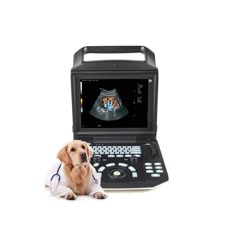 portable veterinary equipment ultrasound machine for pets