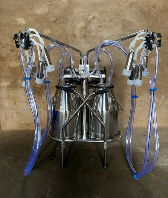 

Easy To Operation Cow, Sheep,Milking Machines Efficient Automatic Milking Machine Price
