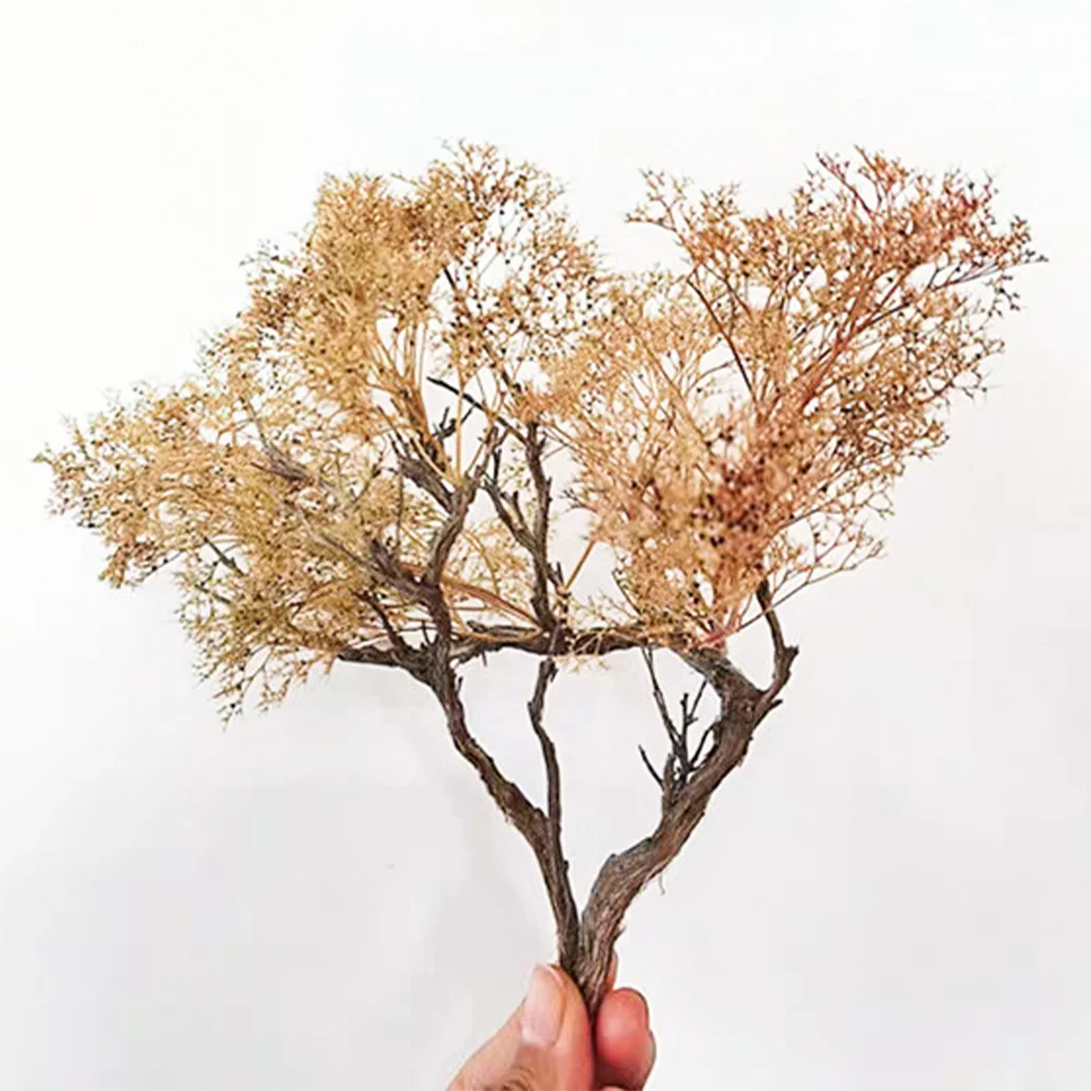 Árboles en miniatura, ramas de árboles realistas con forma de mar para hacer árboles Diy/paisaje de guerra/dioramas ferroviarios/paisaje/terren