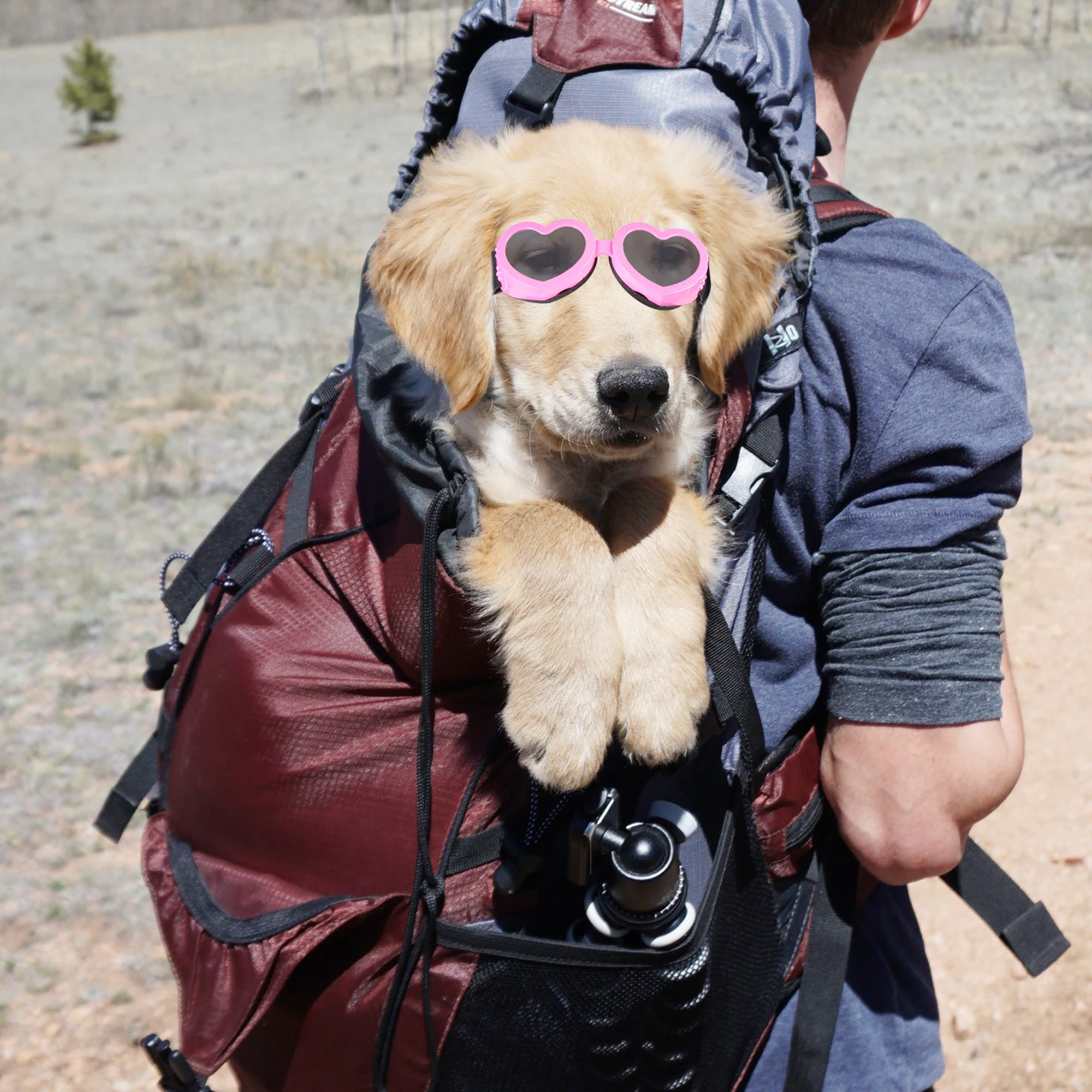 

Glasses Pet Sunglasses Dog Goggles Puppy Adjustable Pets Pink Small Windproof Child