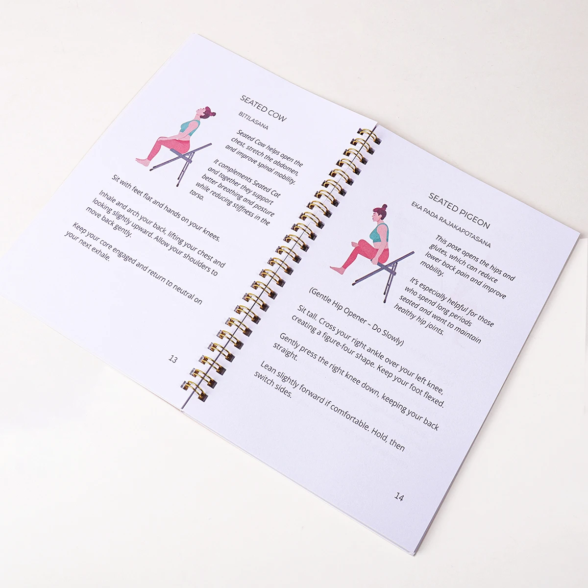 30 Day Chair Yoga Guide Weight Loss Muscle Strength Flexibility Beginner Seated Workout Book for Seniors & Adults view 4
