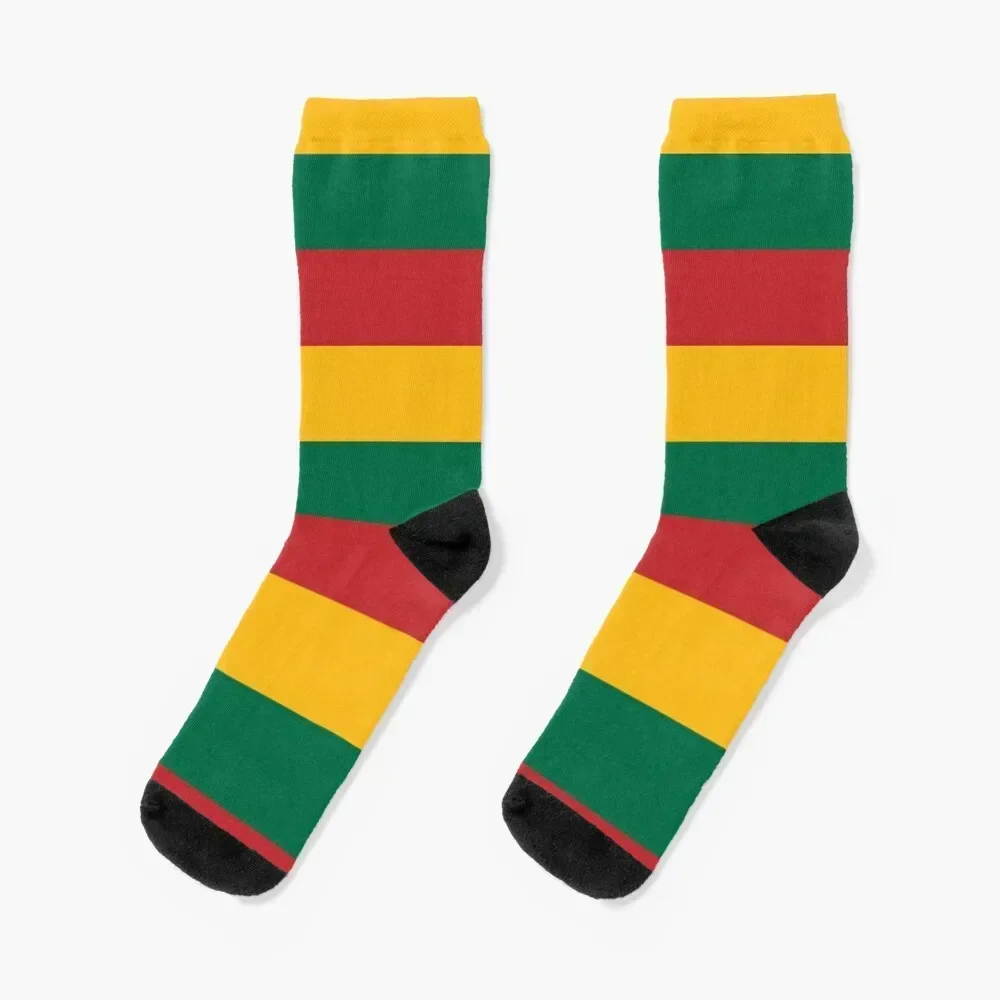 lithuanian flag/lithuanian flag t shirt,scarves,mask,poster,sticker,pillow,phone cases and more Socks