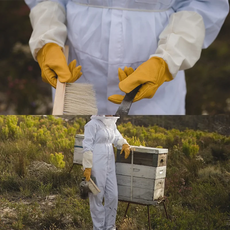 Multi Style Beekeeping Gloves Sheepskin Gloves/Canvas Gloves/Mesh Gloves Preventing Bee Bites High Guality Beekeeping Gloves