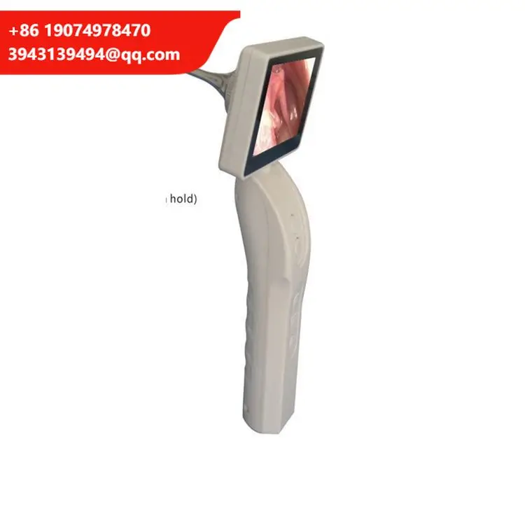 Portable Digital Video Otoscope Camera Video Scope Steel Ce Otoscope Prices Medical Led Light Source Lance Electricity 2 Years