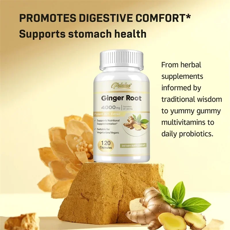 Ginger Root - Digestive Nausea Relief Upset Stomach Immune Health, Non-Gmo, Gluten Free