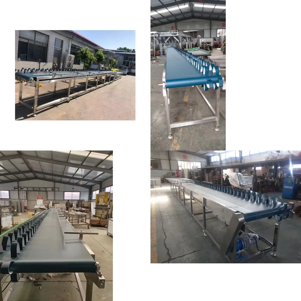 Fresh Flower Root Cutting Machine and Diameter Cutting Machine for Rose Peony Chrysanthemum for Floral Arrangement Tools