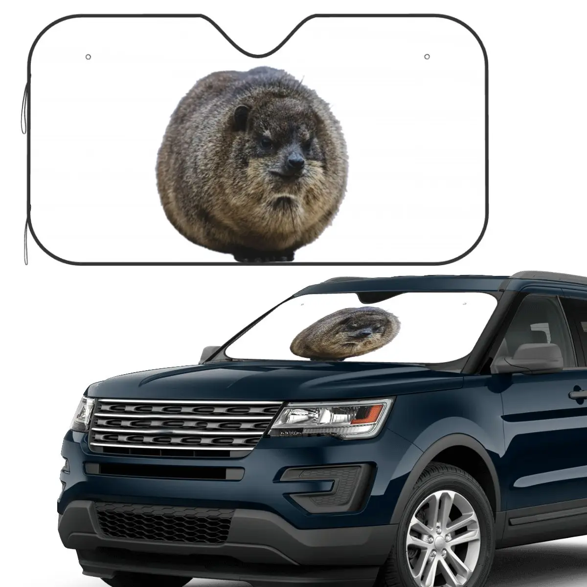 

Hyrax Coquette Or Croquette Sunshade Windscreen Car Front Windshield Window Sun Visor Accessories Covers