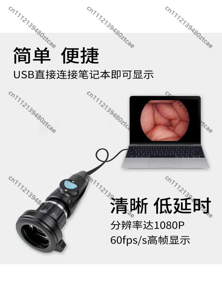Endoscope Camera for Teaching Training Lab Use Veterinary Pet Inspection & Industrial Detection