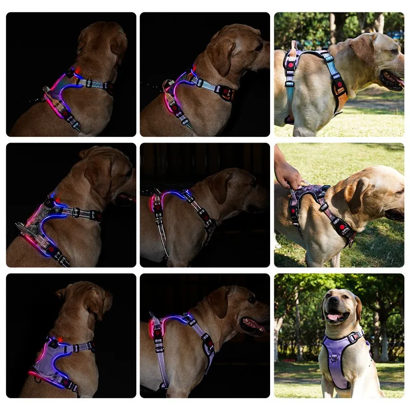 Pet LED Light Dog Luminous Chest Strap Medium and Large Luminous Led Luminous Large Dog Chest Strap Outdoor Pet Supplies