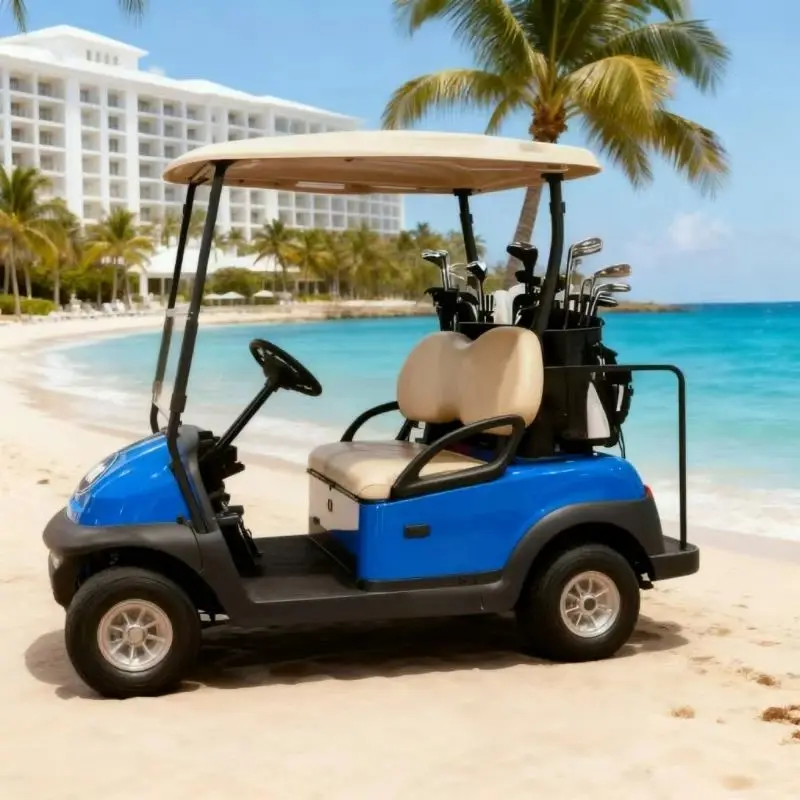 عربات جولف كهربائية معتمدة بمقعدين 2/4/6/8 ذات دفع رباعي مع محرك واحد بقدرة 5000 وات؛ جودة مضمونة.