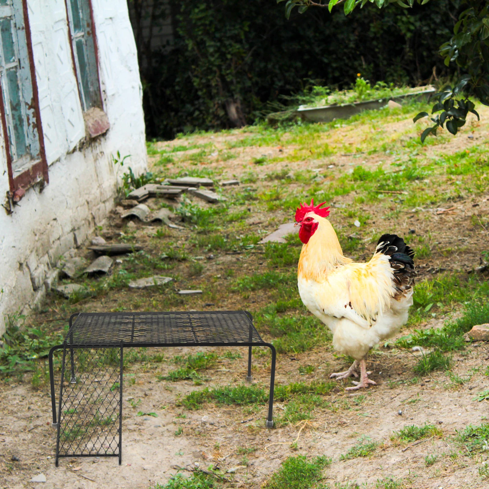 

Iron Rutin Chicken Platform Pet Landscaping Supplies Hollow out Rack Black Large Size Ladder Chicken Coop Rack Durable Climbing