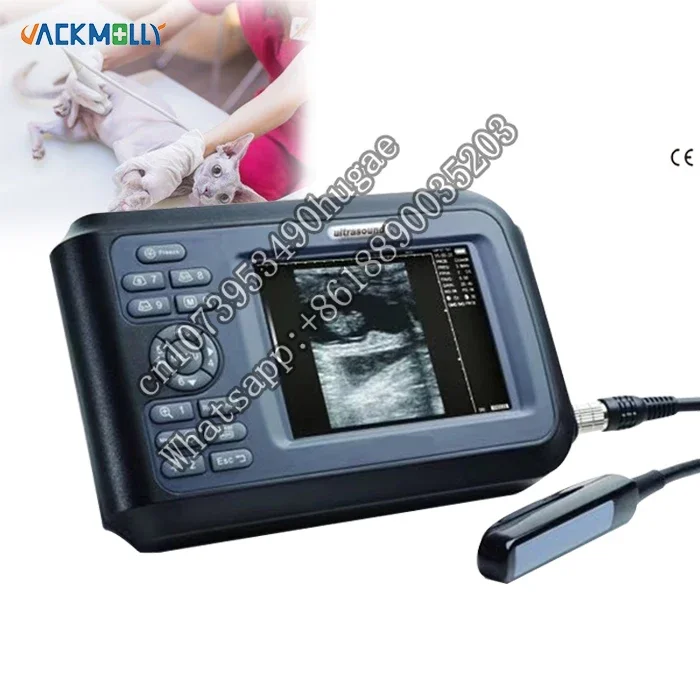 

CE Handheld vet portable digital ultrasound for animal veterinary