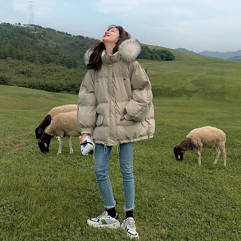 2025 New Autumn and Winter Loose Down Cotton Jacket Women's Short Short Small Loose Thickened Bread Jacket Padded Jacket