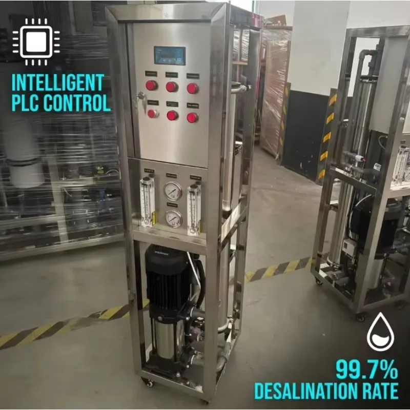 Industrial RO Water Treatment Host For Uzbekistan Kazakhstan Market - Stainless Steel 250LPH RO Skid For Engineering Projects