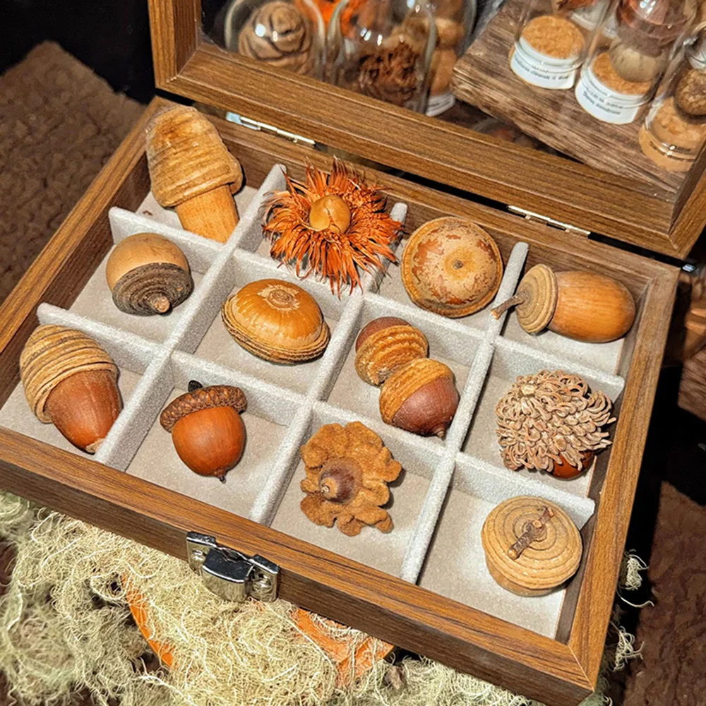 Wooden Specimen Display Box 18 24 30 Grids Glass Lid Natural Collection Storage Case Small Collectibles Desktop Decor