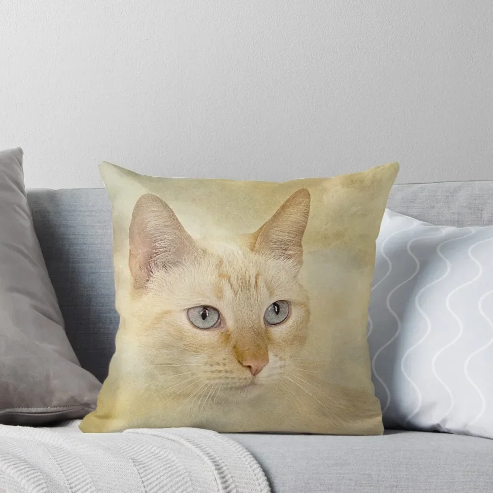 

Pretty Flame Point Siamese Throw Pillow Marble Cushion Cover Decorative pillowcase Ornamental Pillow pillow